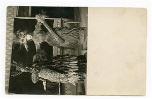 Image description is not available for PHO-264-132